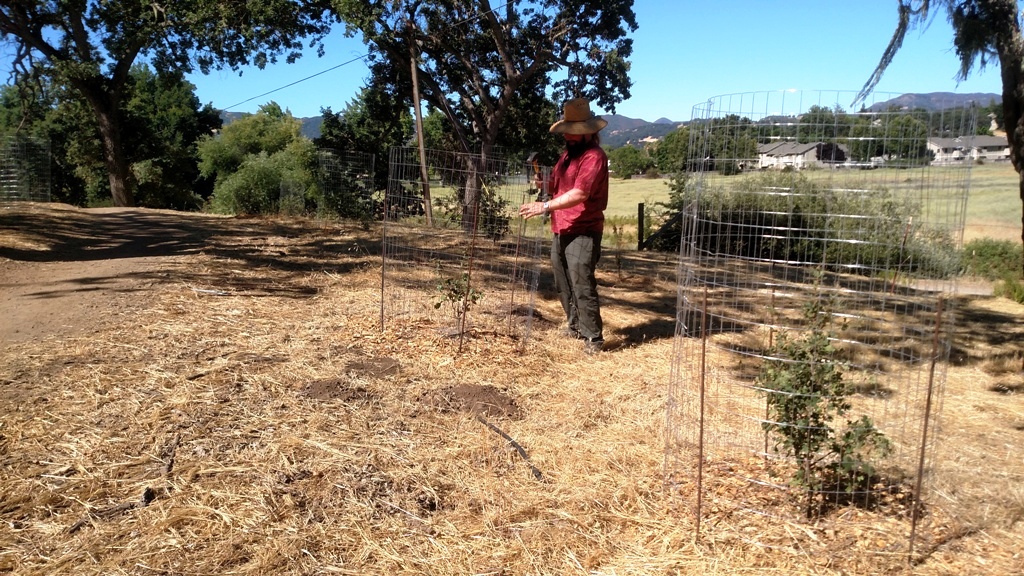 Justin replacing the small cages with bigger cages.